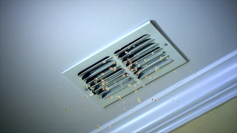  Paia, HI Airduct Cleaning Pros