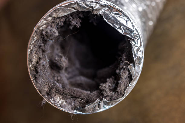 Best HVAC Maintenance and Cleaning  in Paia, HI