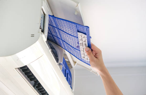 Best Affordable Duct Cleaning Services  in Paia, HI