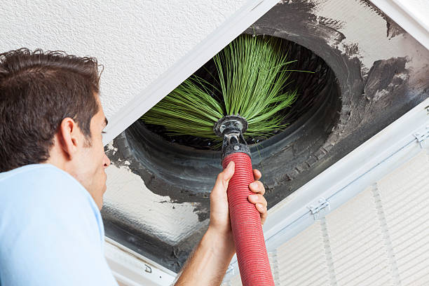 Best Emergency Air Duct Cleaning  in Paia, HI